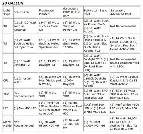 20 Gallon Aquarium Lighting Suggestions