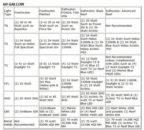 60 Gallon Aquarium Lighting Suggestions