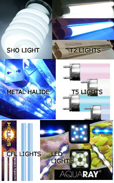 Aquarium Light Typs, Metal Halide, LED, CFL, T2, T5, SHO
