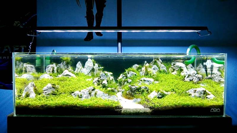 Current USA Satellite LED Review