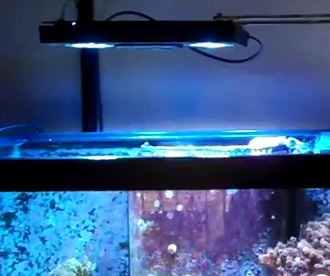 EcoTech Marine Radion Aquarium LED Lights, Lighting