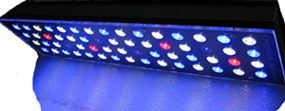 Orphek Nilus Reef Aquarium LED Light