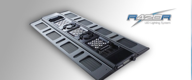 LED Review Maxspect Reef