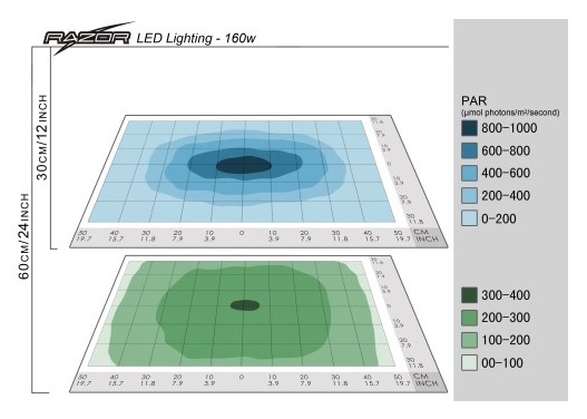LED Review Razor Maxspect Reef
