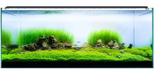 Satellite Pro LED Review