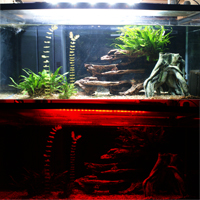 TMC Flexi-Red LED on Aquarium, Review