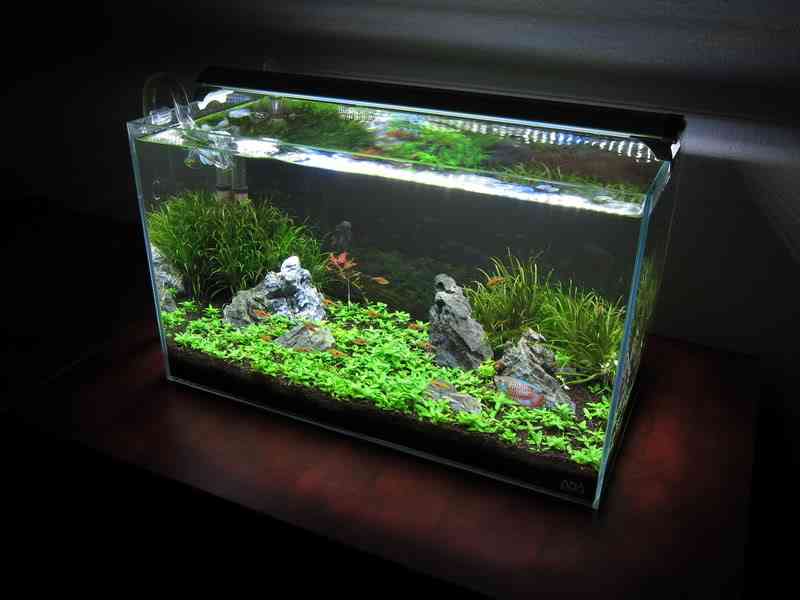 Finnex FugeRay LED Review