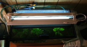 t2 Aquarium Lighted top view mounting
