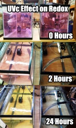 UV Removal of oxidizers in aquarium
